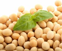 Boabe de soia