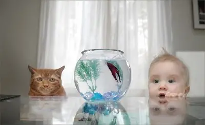 mananca cat mai mult peste cu omega 3 Mananca peste cu grasimi omega3. Este carne sanatoasa!