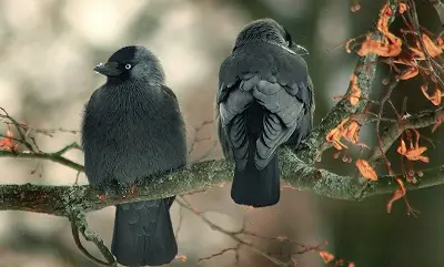 nu purta pica Iarta si nu purta ranchiuna si pica. Te vei simti mai bine!