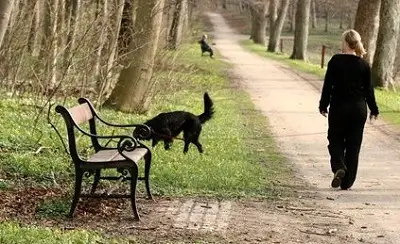 plimbatul zilnic medicamentul perfect Plimbarea zilnică este una dintre cele mai sănătoase, sigure şi simple metode prin care poţi arde calorii şi să ai grijă de inima ta.