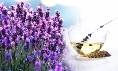 Adormi repede si usor cu ulei de lavanda Adormi repede si usor cu ulei de lavanda