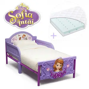Set pat cu cadru metalic Disney Sofia Intai 3D